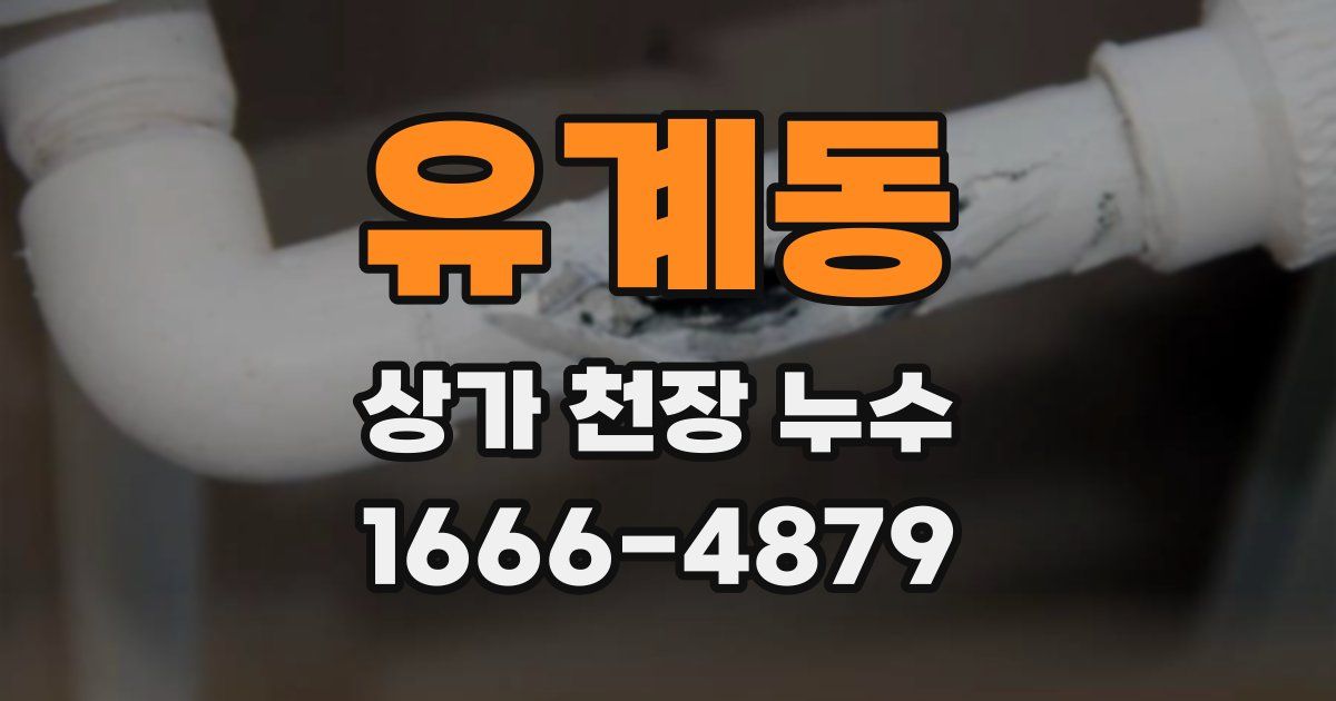 유계동 상가 천장 누수