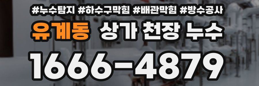 유계동 상가 천장 누수