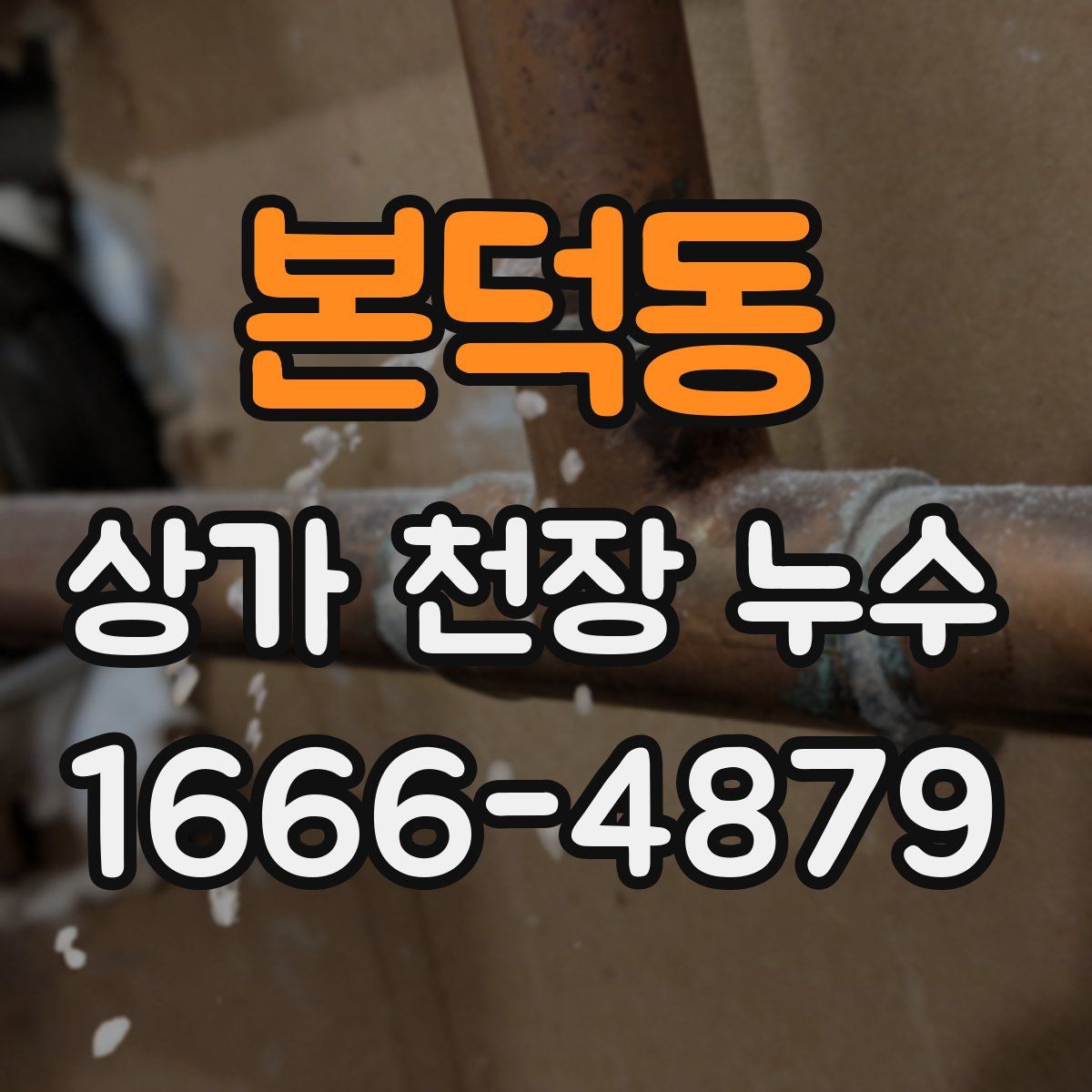 본덕동 상가 천장 누수