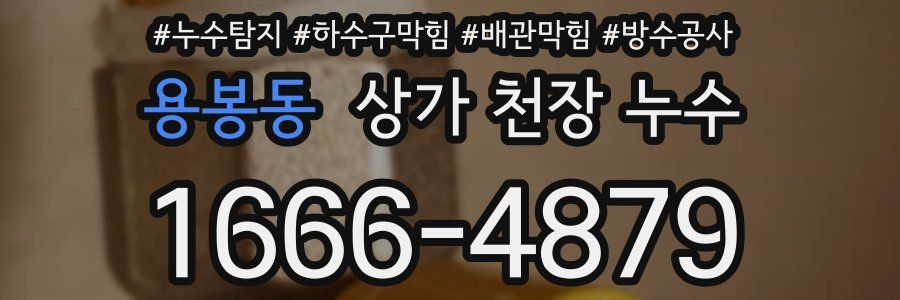용봉동 상가 천장 누수