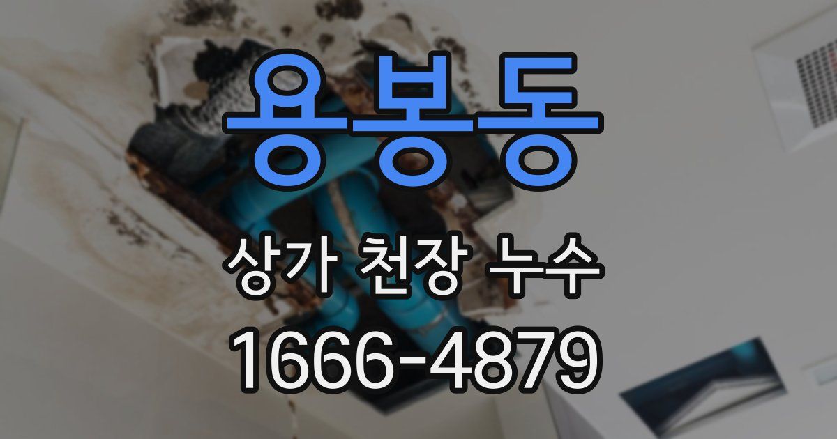 용봉동 상가 천장 누수