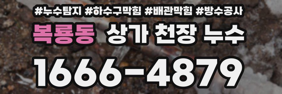 복룡동 상가 천장 누수