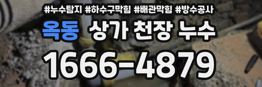 옥동 상가 천장 누수