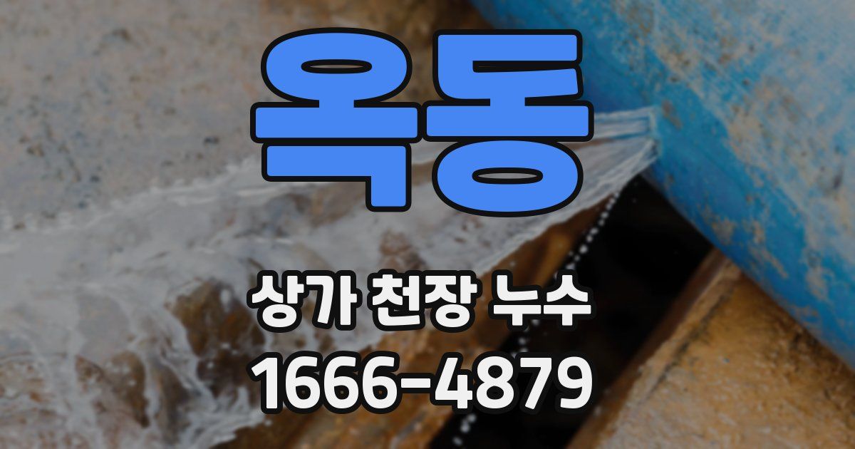 옥동 상가 천장 누수