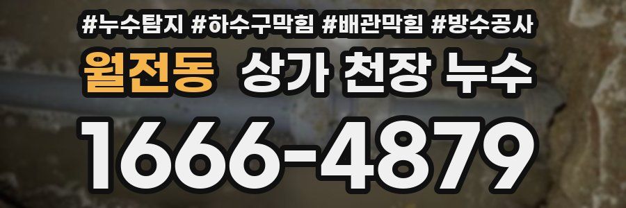 월전동 상가 천장 누수