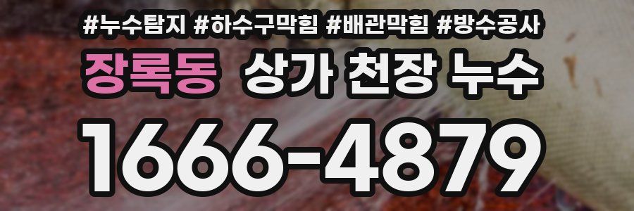 장록동 상가 천장 누수