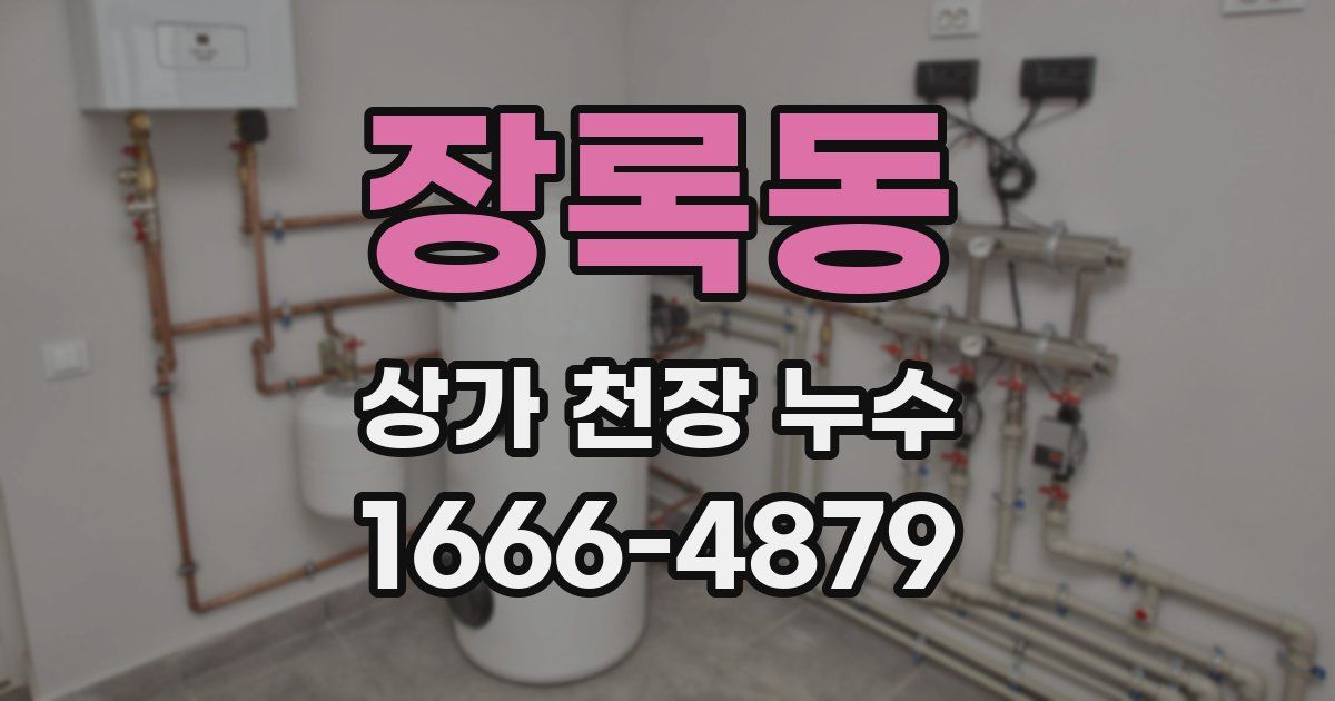 장록동 상가 천장 누수