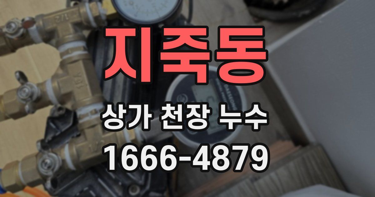지죽동 상가 천장 누수
