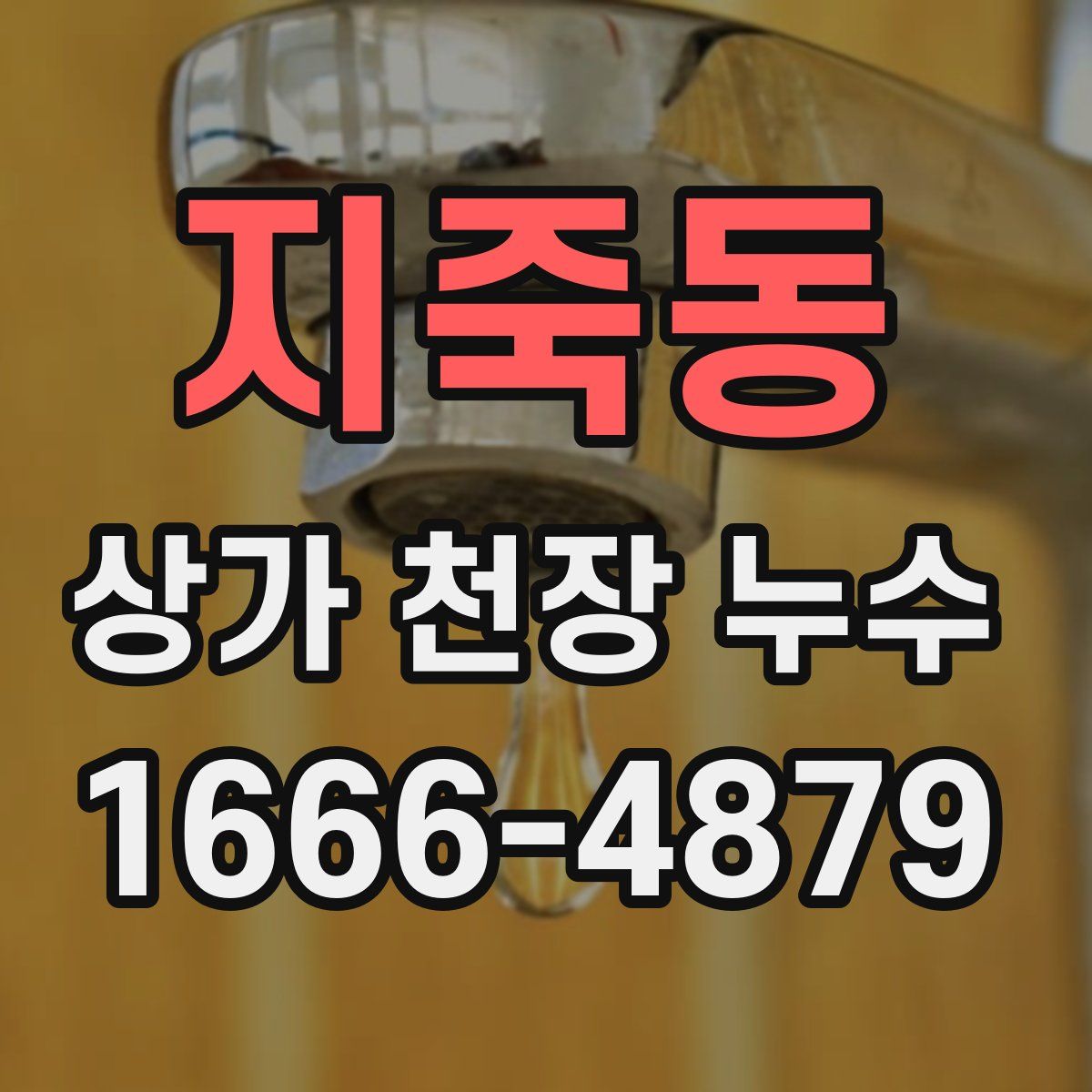 지죽동 상가 천장 누수