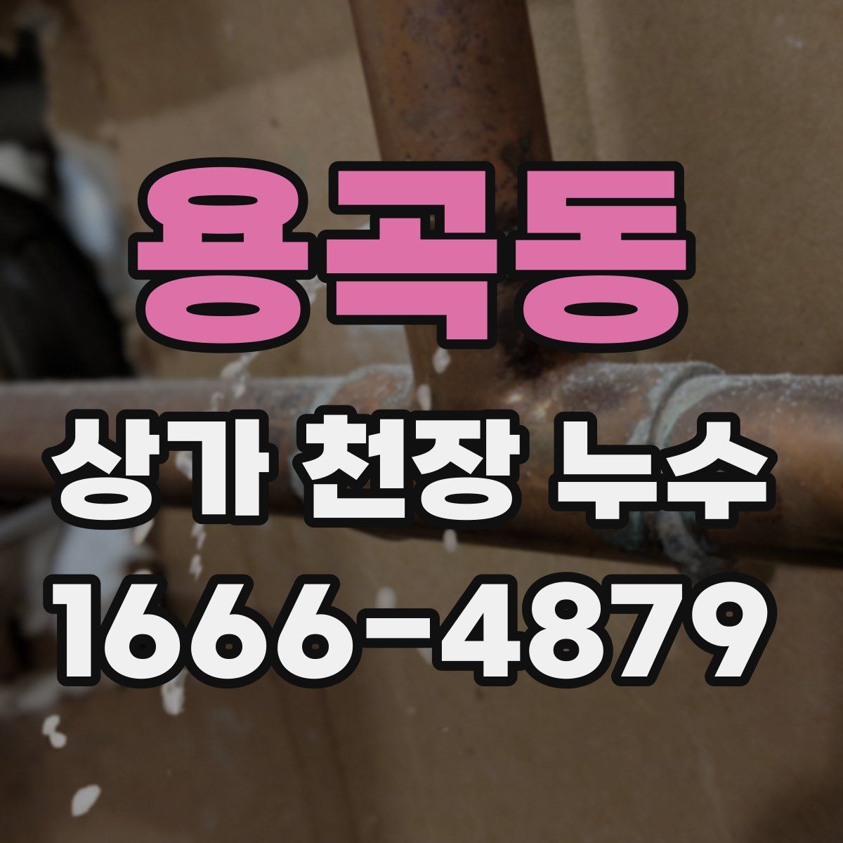 용곡동 상가 천장 누수