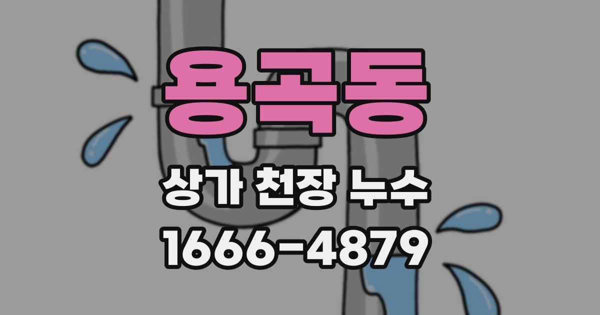 용곡동 상가 천장 누수