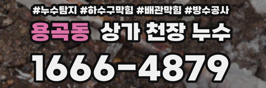 용곡동 상가 천장 누수