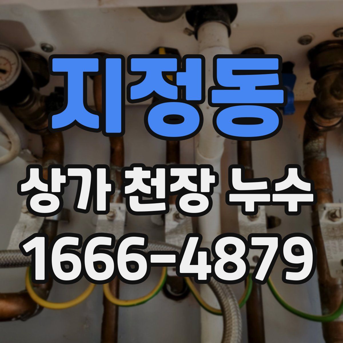 지정동 상가 천장 누수