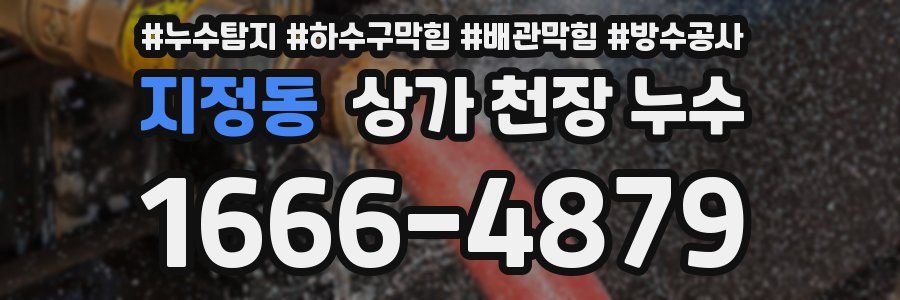 지정동 상가 천장 누수