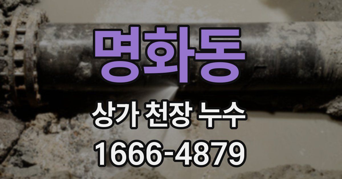 명화동 상가 천장 누수