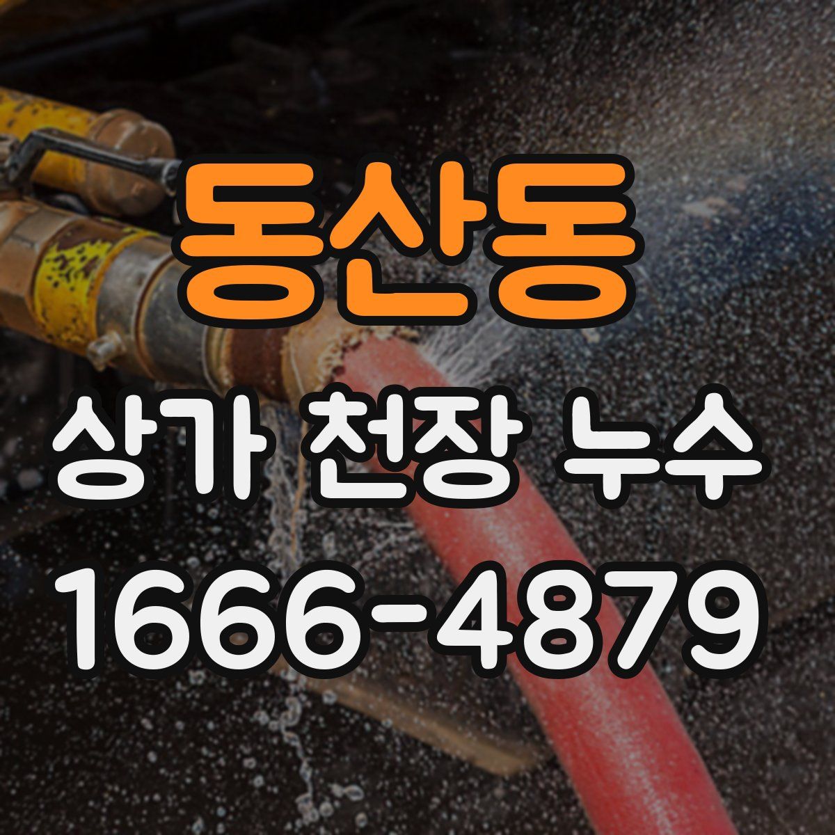동산동 상가 천장 누수