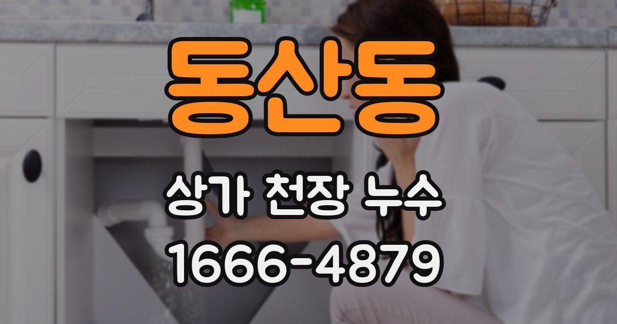 동산동 상가 천장 누수