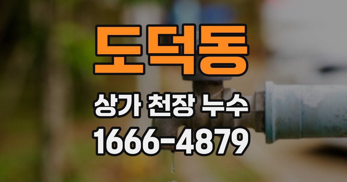 도덕동 상가 천장 누수