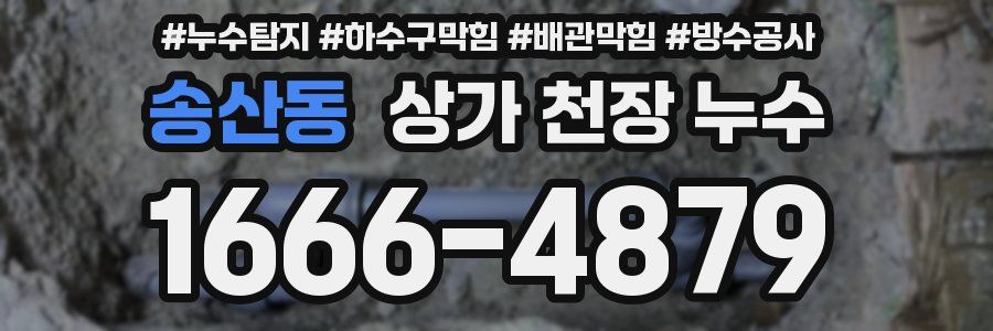 송산동 상가 천장 누수