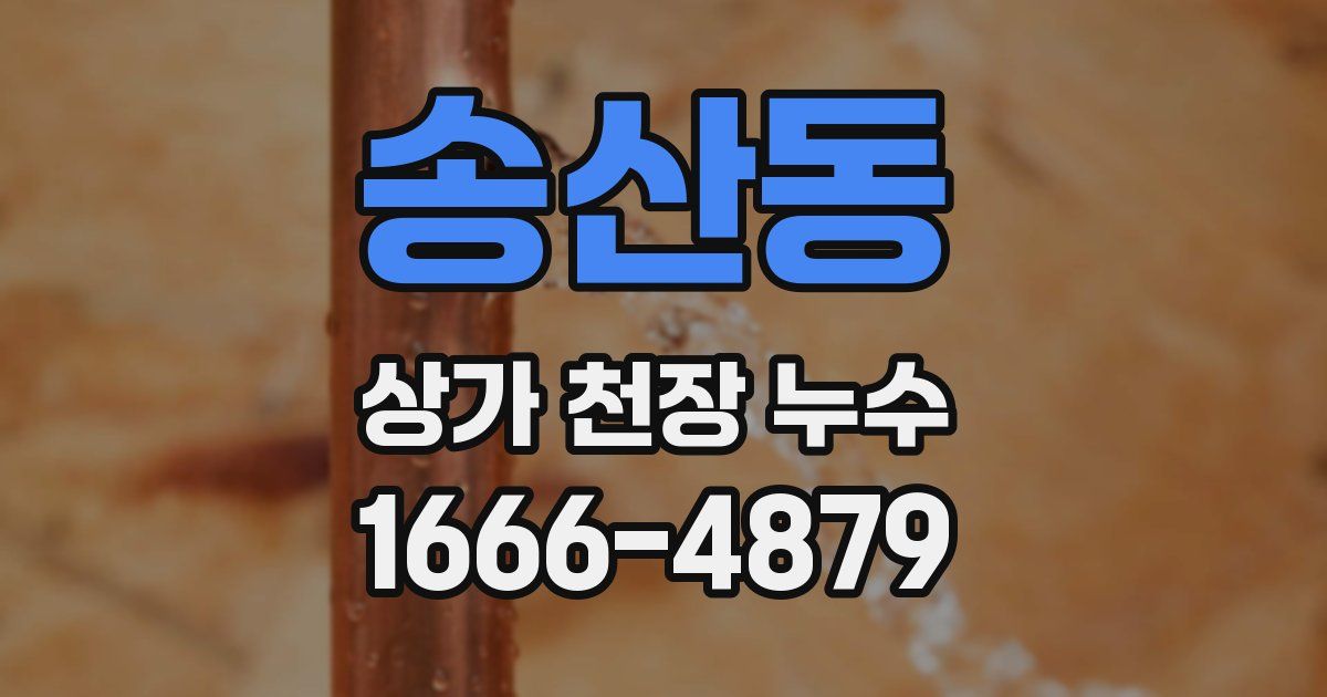 송산동 상가 천장 누수