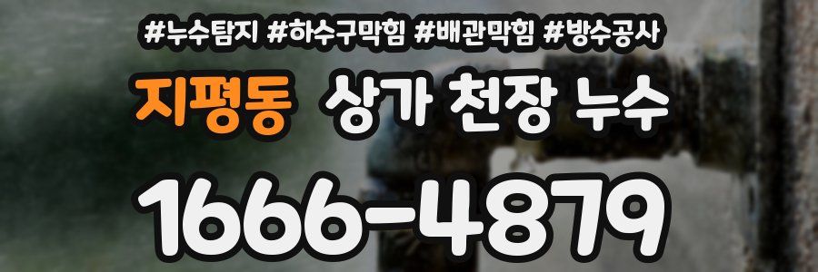 지평동 상가 천장 누수