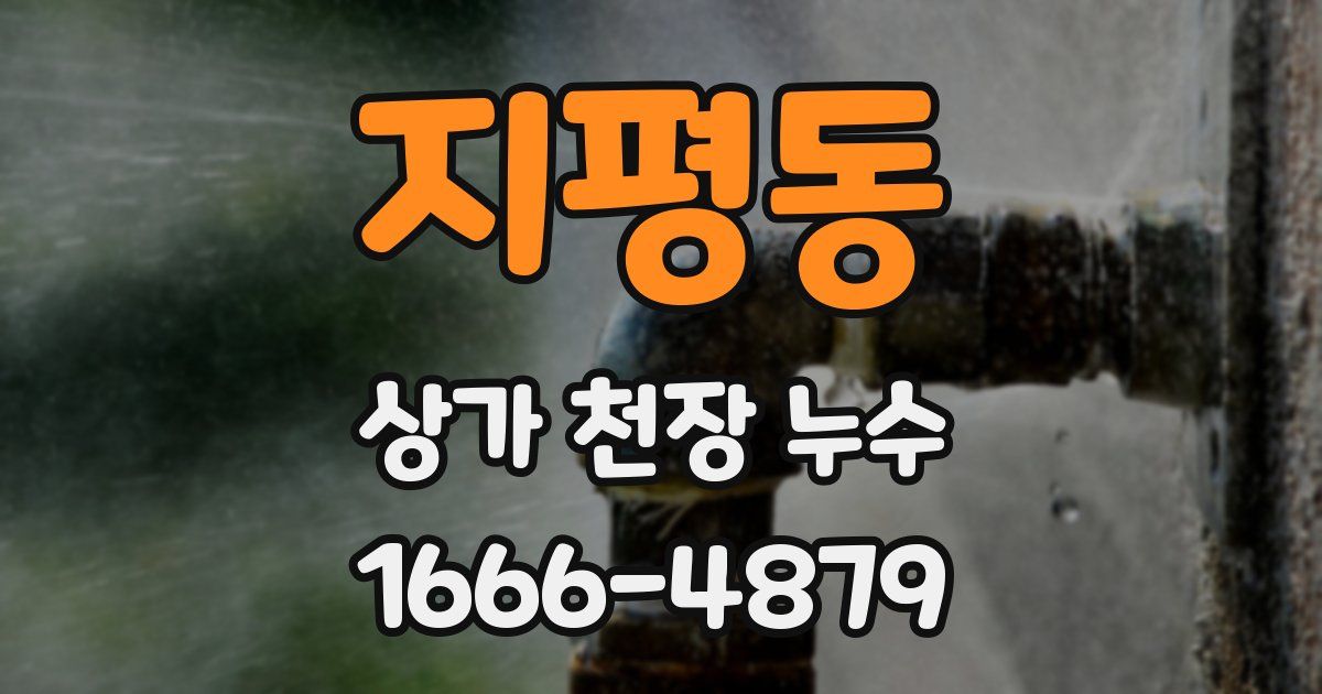 지평동 상가 천장 누수
