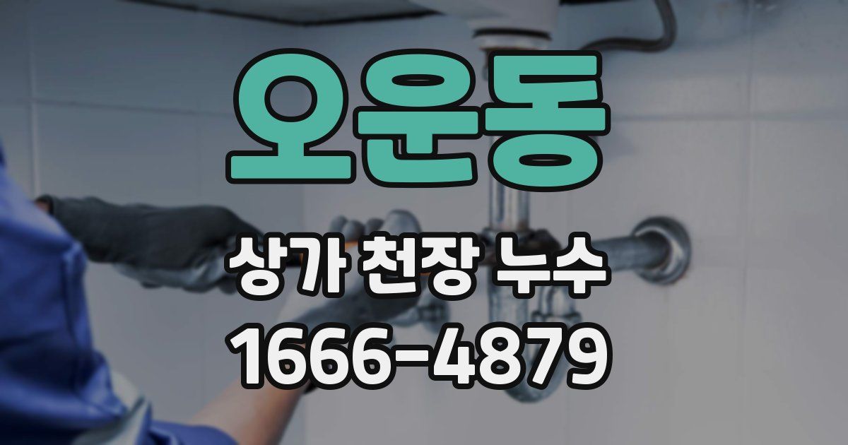 오운동 상가 천장 누수