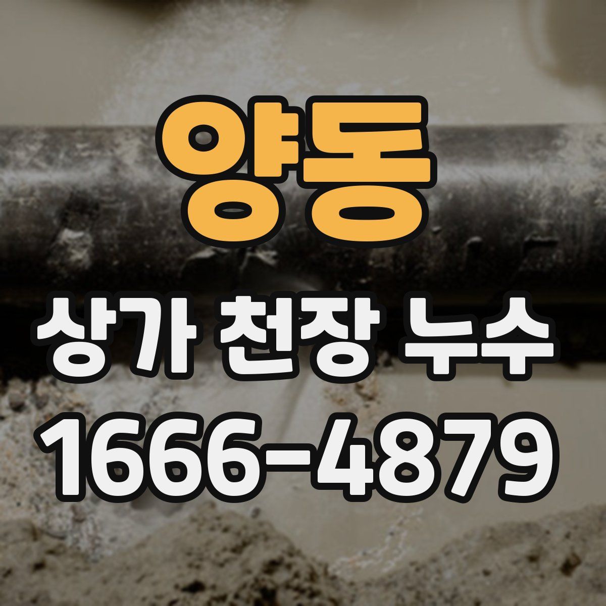 양동 상가 천장 누수