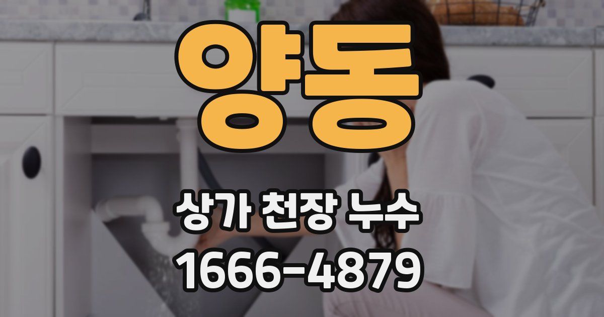 양동 상가 천장 누수