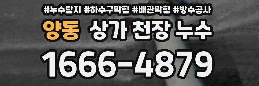 양동 상가 천장 누수