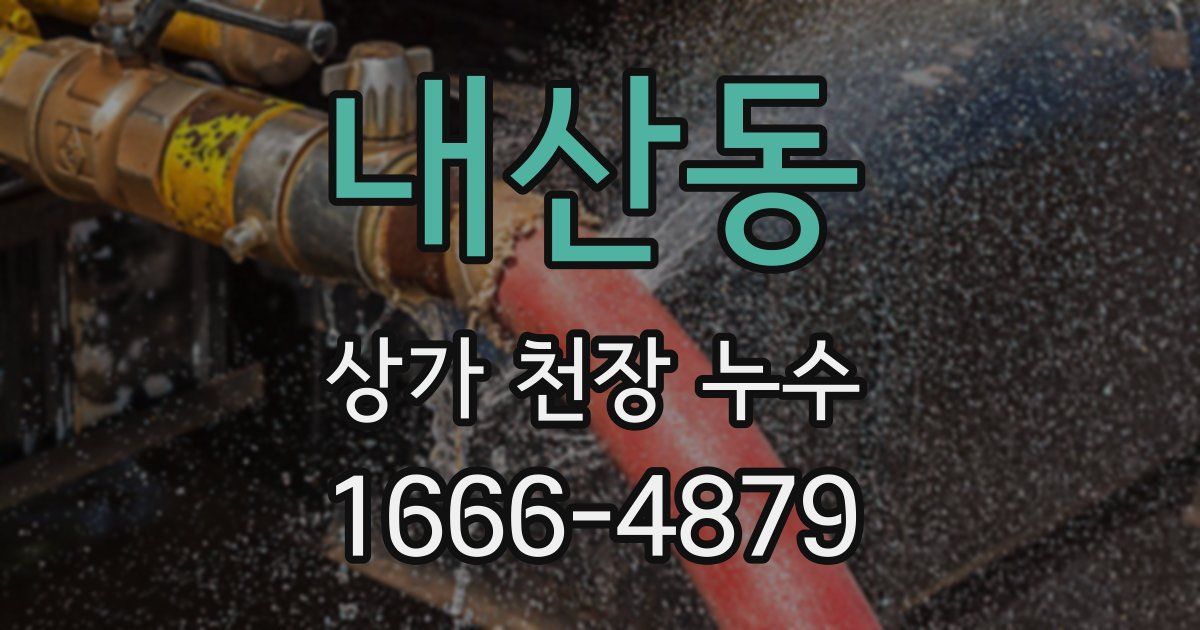 내산동 상가 천장 누수