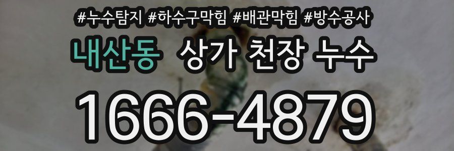 내산동 상가 천장 누수