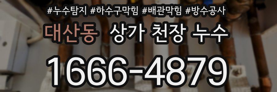 대산동 상가 천장 누수