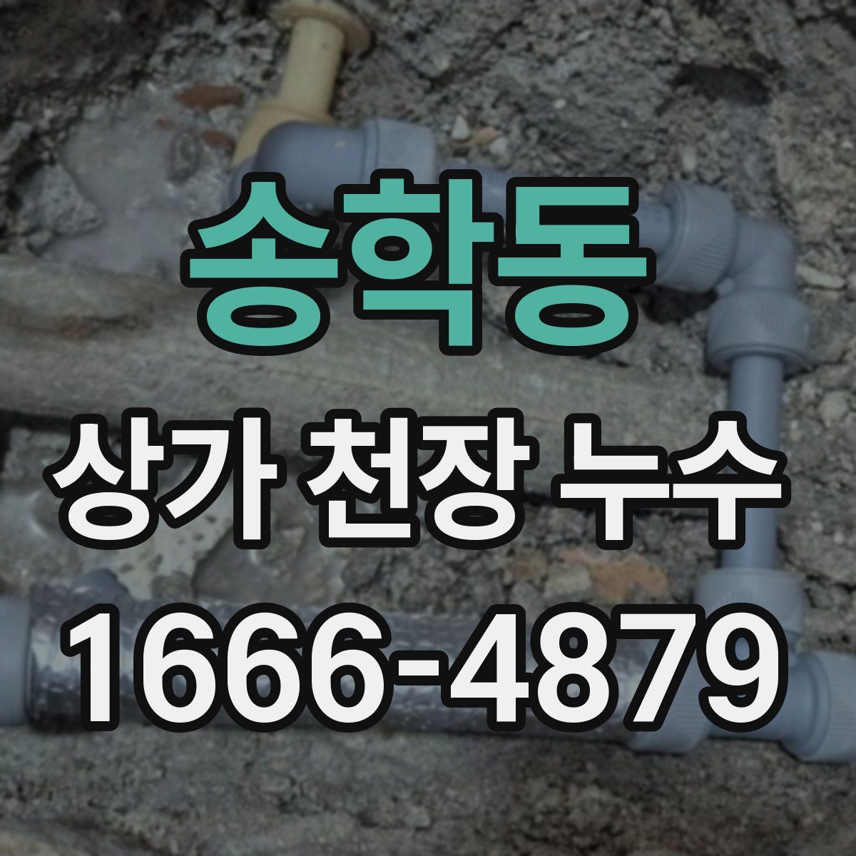 송학동 상가 천장 누수