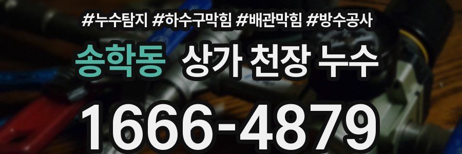 송학동 상가 천장 누수
