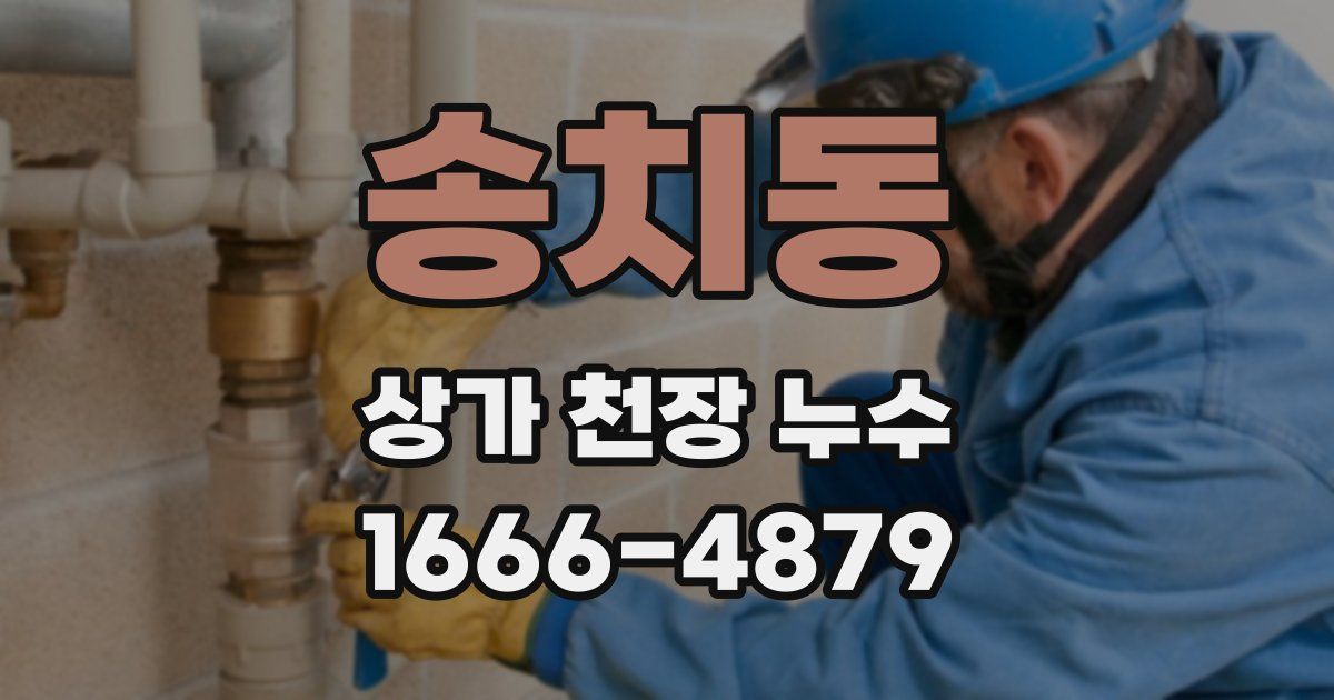 송치동 상가 천장 누수