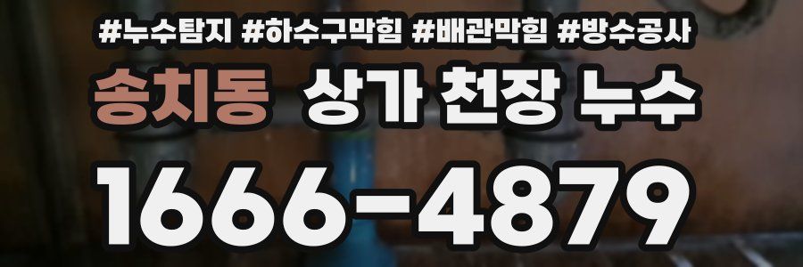 송치동 상가 천장 누수