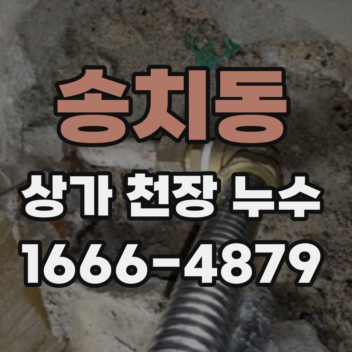 송치동 상가 천장 누수