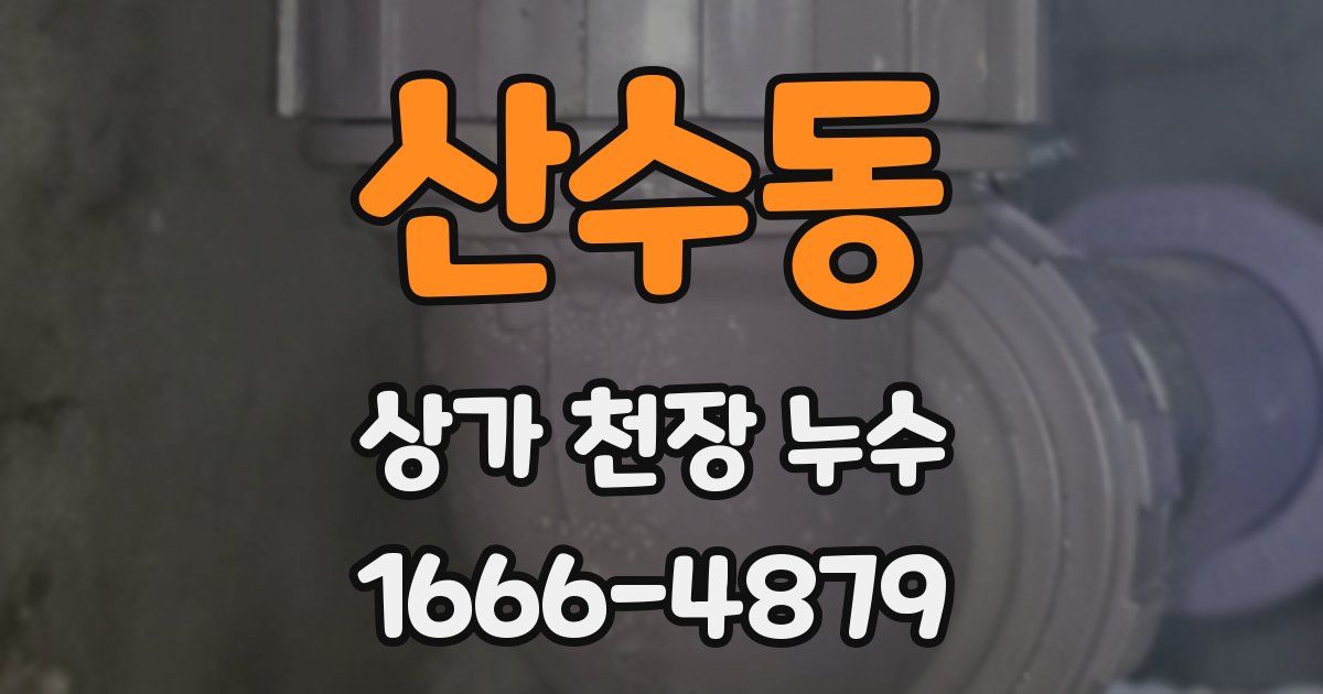 산수동 상가 천장 누수