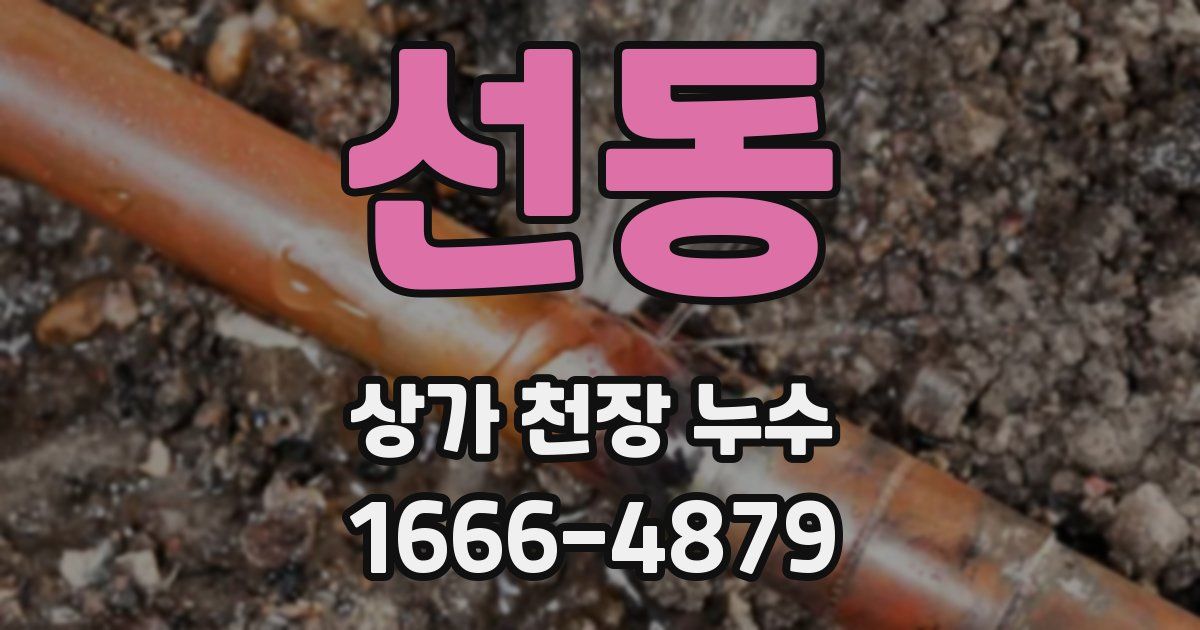 선동 상가 천장 누수