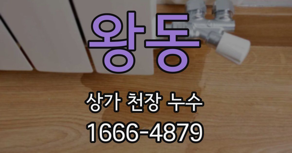 왕동 상가 천장 누수