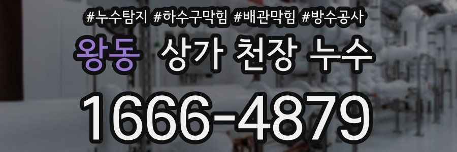 왕동 상가 천장 누수