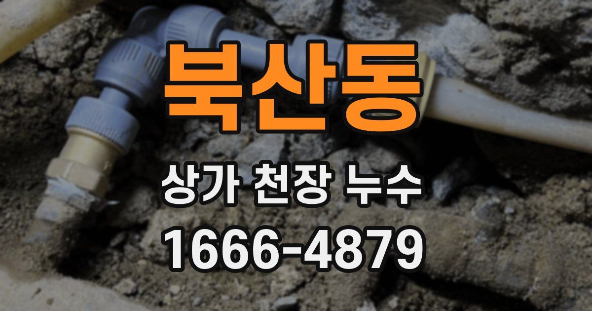 북산동 상가 천장 누수