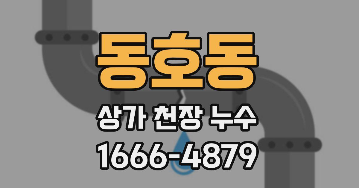동호동 상가 천장 누수