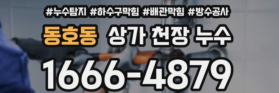 동호동 상가 천장 누수