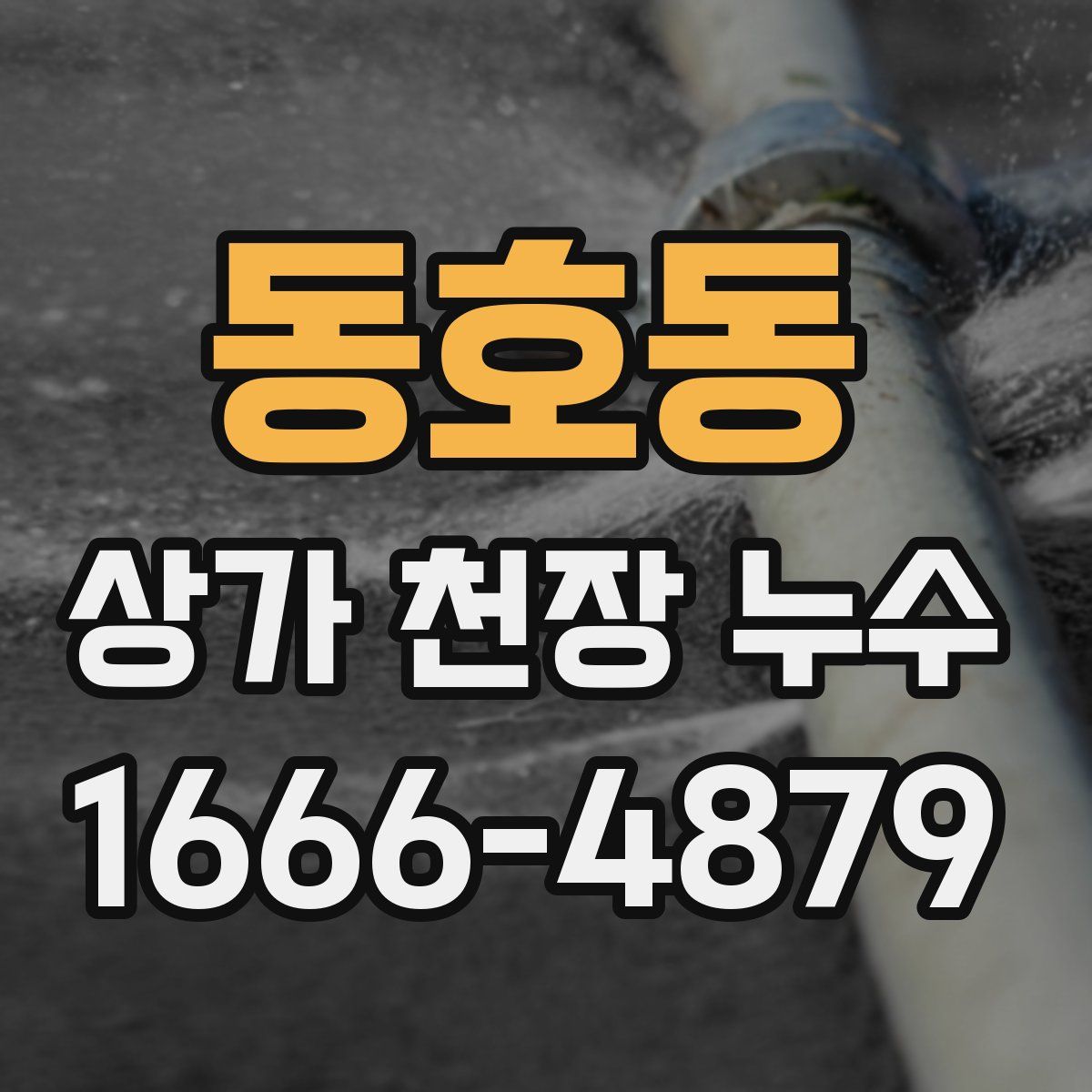 동호동 상가 천장 누수