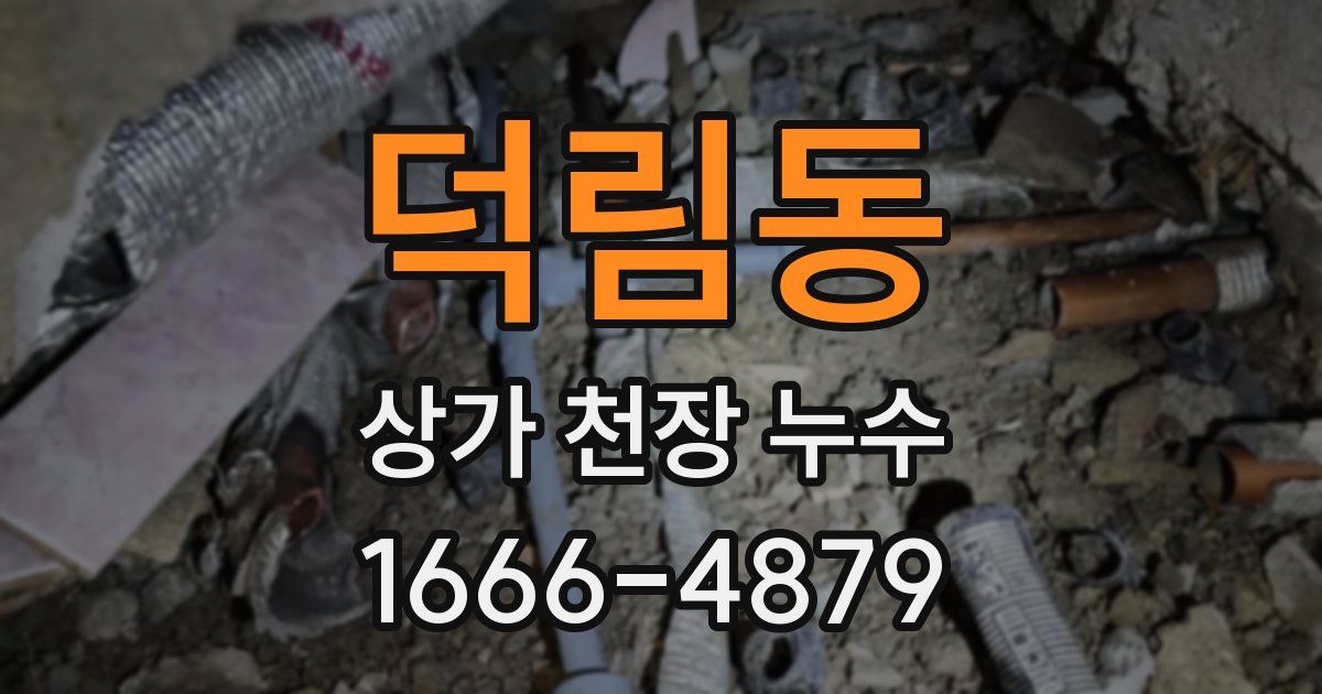 덕림동 상가 천장 누수