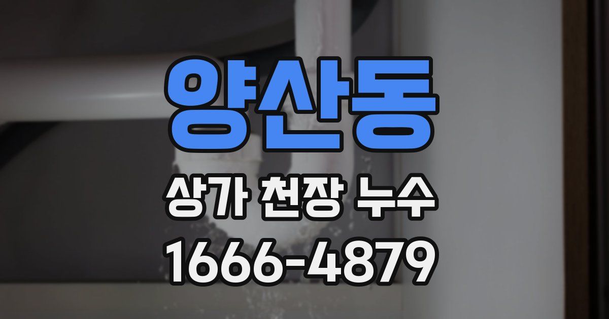 양산동 상가 천장 누수