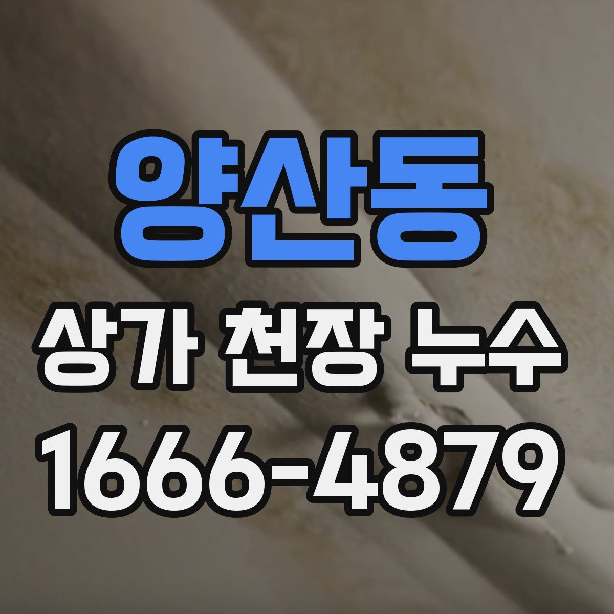 양산동 상가 천장 누수