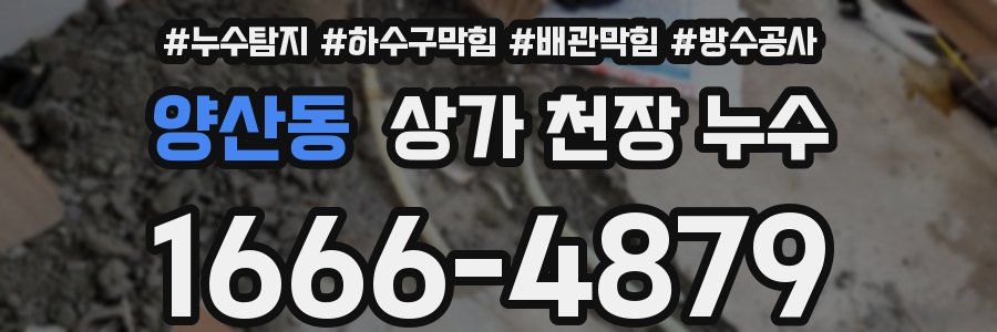 양산동 상가 천장 누수